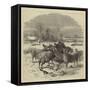 Sheep in Winter Time-Harrison William Weir-Framed Stretched Canvas