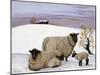 Sheep in Winter-Margaret Loxton-Mounted Giclee Print