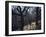 Sheep in Woods-Clive Nolan-Framed Photographic Print