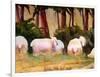 Sheep Landscape Art Print-Blenda Tyvoll-Framed Art Print