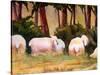 Sheep Landscape Art Print-Blenda Tyvoll-Stretched Canvas