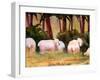 Sheep Landscape Art Print-Blenda Tyvoll-Framed Art Print