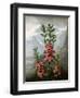 Sheep Laurel-Caldwell-Framed Giclee Print