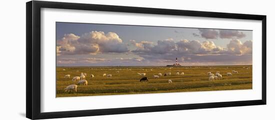 Sheep, Lighthouse of Westerhever (Municipality), Schleswig-Holstein, Germany-Rainer Mirau-Framed Photographic Print