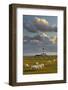 Sheep, Lighthouse of Westerhever (Municipality), Schleswig-Holstein, Germany-Rainer Mirau-Framed Photographic Print