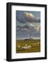 Sheep, Lighthouse of Westerhever (Municipality), Schleswig-Holstein, Germany-Rainer Mirau-Framed Photographic Print