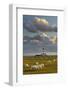 Sheep, Lighthouse of Westerhever (Municipality), Schleswig-Holstein, Germany-Rainer Mirau-Framed Photographic Print