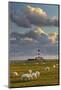 Sheep, Lighthouse of Westerhever (Municipality), Schleswig-Holstein, Germany-Rainer Mirau-Mounted Photographic Print