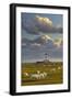 Sheep, Lighthouse of Westerhever (Municipality), Schleswig-Holstein, Germany-Rainer Mirau-Framed Photographic Print