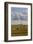 Sheep, Lighthouse of Westerhever (Municipality), Schleswig-Holstein, Germany-Rainer Mirau-Framed Photographic Print