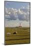 Sheep, Lighthouse of Westerhever (Municipality), Schleswig-Holstein, Germany-Rainer Mirau-Mounted Photographic Print