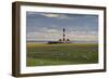 Sheep, Lighthouse of Westerhever (Municipality), Schleswig-Holstein, Germany-Rainer Mirau-Framed Photographic Print