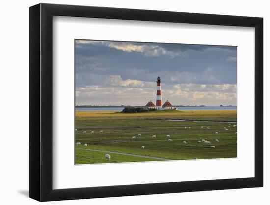 Sheep, Lighthouse of Westerhever (Municipality), Schleswig-Holstein, Germany-Rainer Mirau-Framed Photographic Print