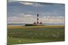 Sheep, Lighthouse of Westerhever (Municipality), Schleswig-Holstein, Germany-Rainer Mirau-Mounted Photographic Print