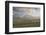 Sheep, Lighthouse of Westerhever (Municipality), Schleswig-Holstein, Germany-Rainer Mirau-Framed Photographic Print