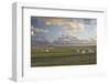 Sheep, Lighthouse of Westerhever (Municipality), Schleswig-Holstein, Germany-Rainer Mirau-Framed Photographic Print