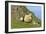 Sheep Mother and Young Standing in Front of Cliffs-null-Framed Photographic Print