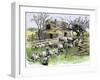 Sheep Near a Cottage in West Rutland, Vermont, c.1880-null-Framed Giclee Print