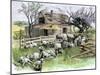 Sheep Near a Cottage in West Rutland, Vermont, c.1880-null-Mounted Giclee Print