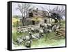 Sheep Near a Cottage in West Rutland, Vermont, c.1880-null-Framed Stretched Canvas