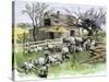 Sheep Near a Cottage in West Rutland, Vermont, c.1880-null-Stretched Canvas