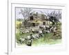 Sheep Near a Cottage in West Rutland, Vermont, c.1880-null-Framed Giclee Print
