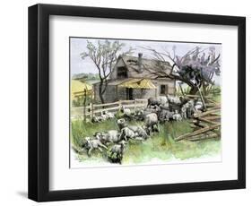 Sheep Near a Cottage in West Rutland, Vermont, c.1880-null-Framed Giclee Print