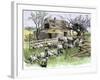 Sheep Near a Cottage in West Rutland, Vermont, c.1880-null-Framed Giclee Print