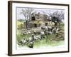 Sheep Near a Cottage in West Rutland, Vermont, c.1880-null-Framed Giclee Print