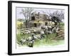 Sheep Near a Cottage in West Rutland, Vermont, c.1880-null-Framed Giclee Print