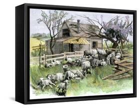Sheep Near a Cottage in West Rutland, Vermont, c.1880-null-Framed Stretched Canvas