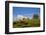 Sheep Near Athenry,County Galway, Ireland-null-Framed Photographic Print