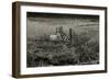 Sheep Near Broken Gate in Field-Fay Godwin-Framed Giclee Print