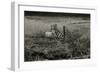 Sheep Near Broken Gate in Field-Fay Godwin-Framed Giclee Print