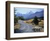 Sheep Nr. Mt. Cook, New Zealand-Peter Adams-Framed Photographic Print