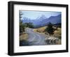 Sheep Nr. Mt. Cook, New Zealand-Peter Adams-Framed Photographic Print