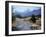 Sheep Nr. Mt. Cook, New Zealand-Peter Adams-Framed Photographic Print