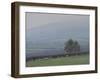 Sheep, October-Tom Hughes-Framed Giclee Print