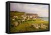 Sheep on a Dorset Coast-Charles Jones-Framed Stretched Canvas