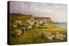 Sheep on a Dorset Coast-Charles Jones-Stretched Canvas