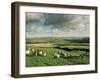 Sheep on Abney Moor on an Autumn Morning, Peak District National Park, Derbyshire, England-David Hughes-Framed Photographic Print