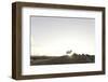 Sheep on Dune, the Sun, Back Light, List, Island Sylt, Schleswig Holstein, Germany-Axel Schmies-Framed Photographic Print