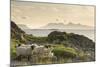 Sheep on the Beach at Camusdarach, Arisaig, Highlands, Scotland, United Kingdom, Europe-John Potter-Mounted Photographic Print