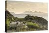 Sheep on the Beach at Camusdarach, Arisaig, Highlands, Scotland, United Kingdom, Europe-John Potter-Stretched Canvas