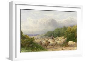 Sheep on the Downs-William W. Gosling-Framed Giclee Print