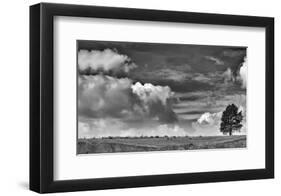 Sheep on the Horizon-Trent Foltz-Framed Giclee Print