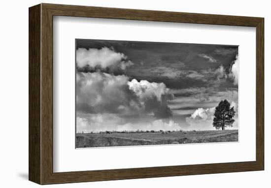 Sheep on the Horizon-Trent Foltz-Framed Giclee Print