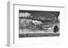 Sheep on the Horizon-Trent Foltz-Framed Giclee Print