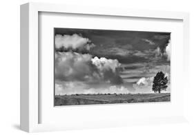 Sheep on the Horizon-Trent Foltz-Framed Giclee Print