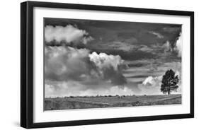 Sheep on the Horizon-Trent Foltz-Framed Giclee Print